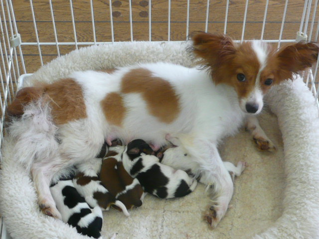 f:id:pertner-partner:20110722131401j:image:w360 f:id:pertner-partner:20110722131401j:image:w360