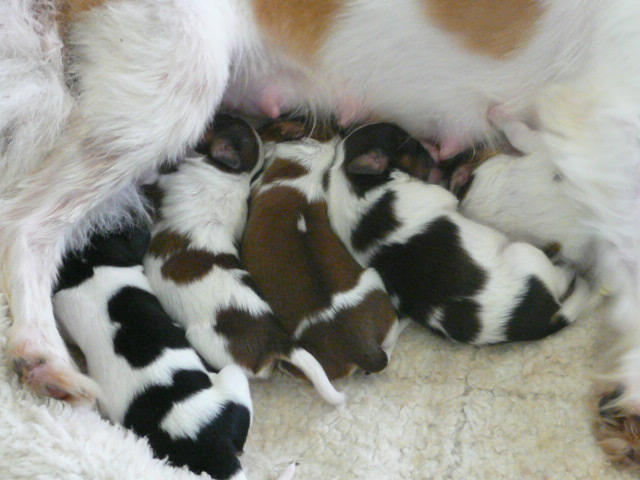 f:id:pertner-partner:20110722131412j:image:w360 f:id:pertner-partner:20110722131412j:image:w360