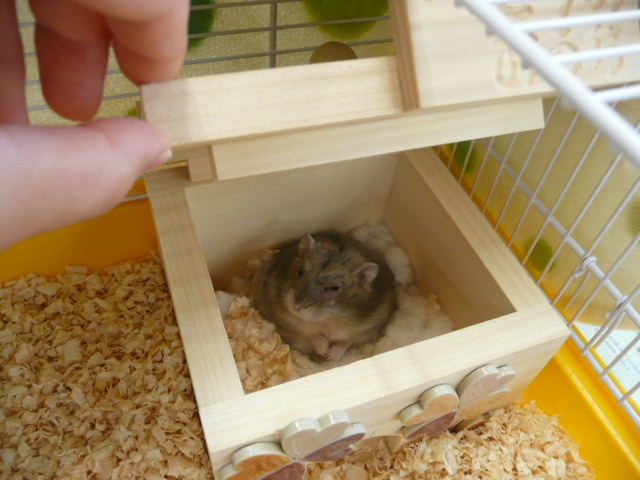 f:id:pertner-partner:20110729120336j:image:w400 f:id:pertner-partner:20110729120336j:image:w400