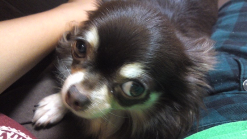 f:id:pertner-partner:20110813214107j:image:w400 f:id:pertner-partner:20110813214107j:image:w400