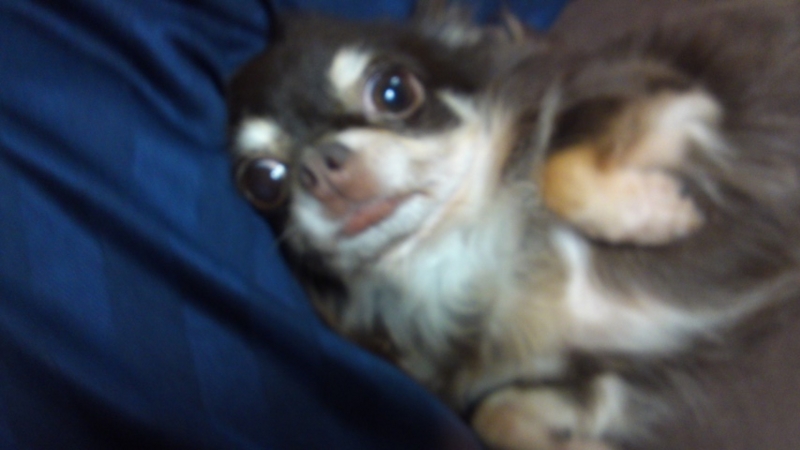 f:id:pertner-partner:20110819210128j:image:w400 f:id:pertner-partner:20110819210128j:image:w400