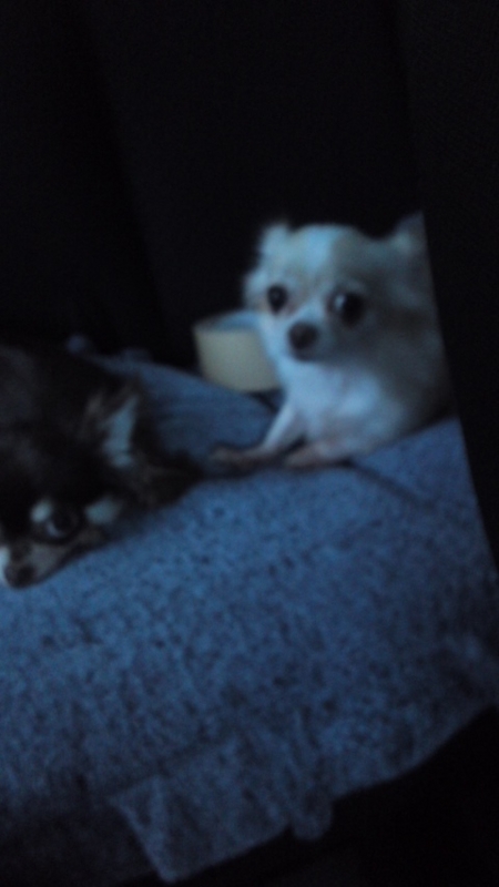 f:id:pertner-partner:20110827180206j:image:w200 f:id:pertner-partner:20110827180206j:image:w200