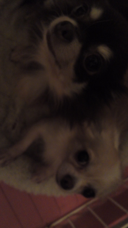 f:id:pertner-partner:20110830200340j:image:w200 f:id:pertner-partner:20110830200340j:image:w200