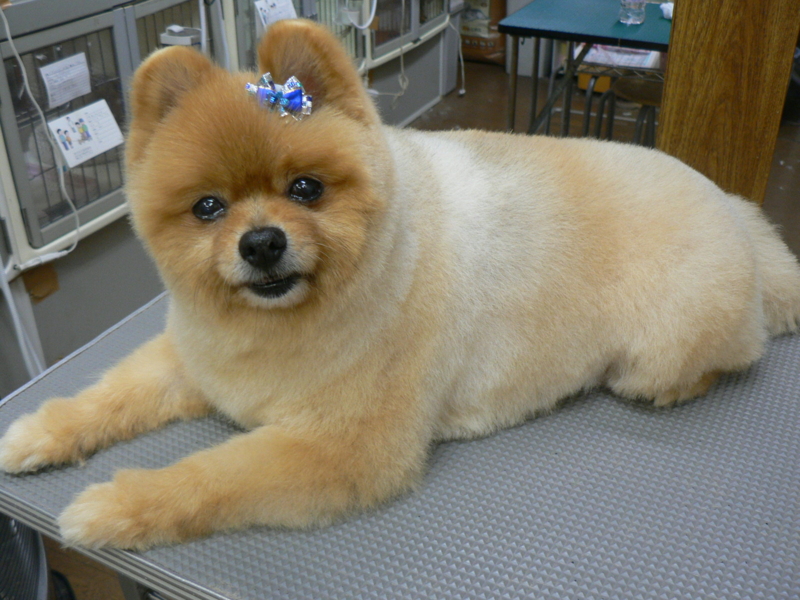 f:id:pertner-partner:20111205174759j:image:w400 f:id:pertner-partner:20111205174759j:image:w400