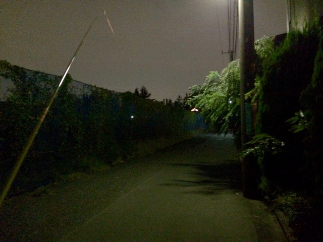 f:id:petauro:20141005212217j:plain f:id:petauro:20141005212217j:plain