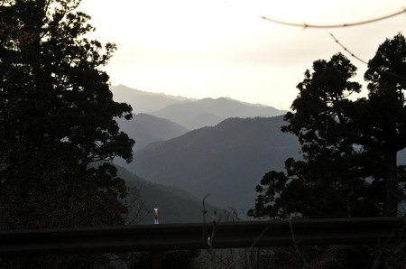 f:id:petit-rose:20080327001624j:image