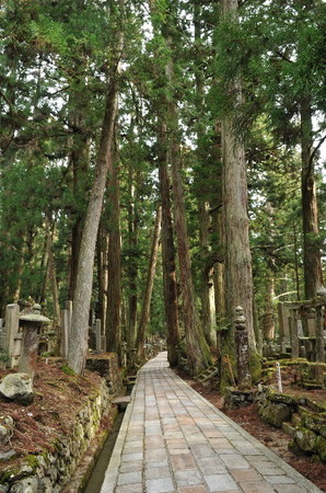 f:id:petit-rose:20080327005251j:image