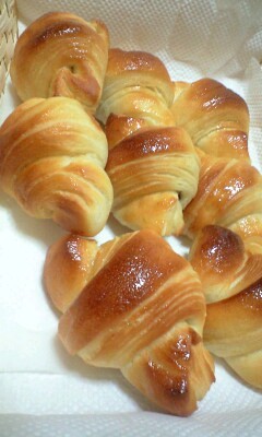 f:id:petit-rose:20090308193548j:image
