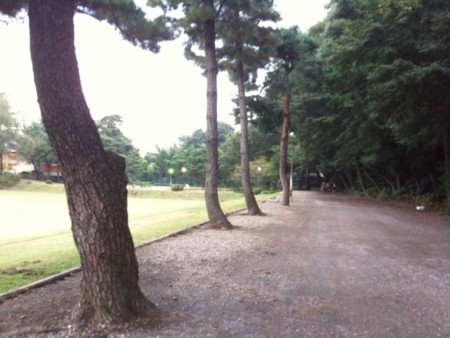 f:id:petit-rose:20091017220923j:image