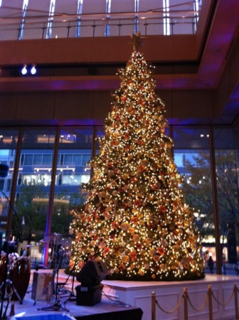 f:id:petit-rose:20101204200323j:image