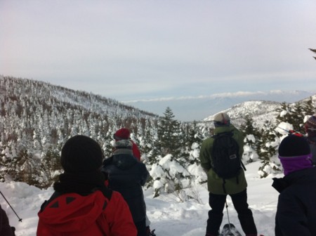 f:id:petit-rose:20110211131852j:image
