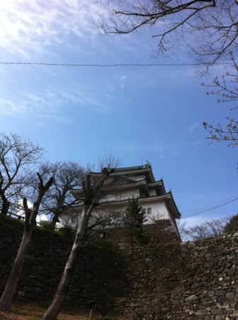f:id:petit-rose:20110331180052j:image