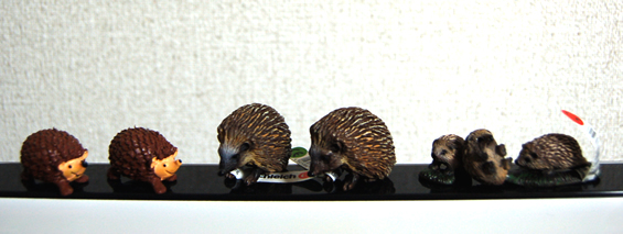 f:id:petit-s:20110130221337j:image f:id:petit-s:20110130221337j:image
