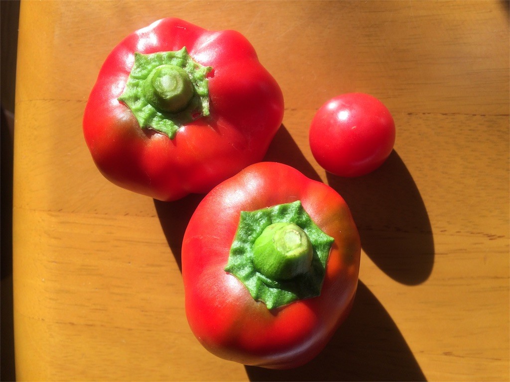 f:id:petitsaien:20151028124711j:image f:id:petitsaien:20151028124711j:image