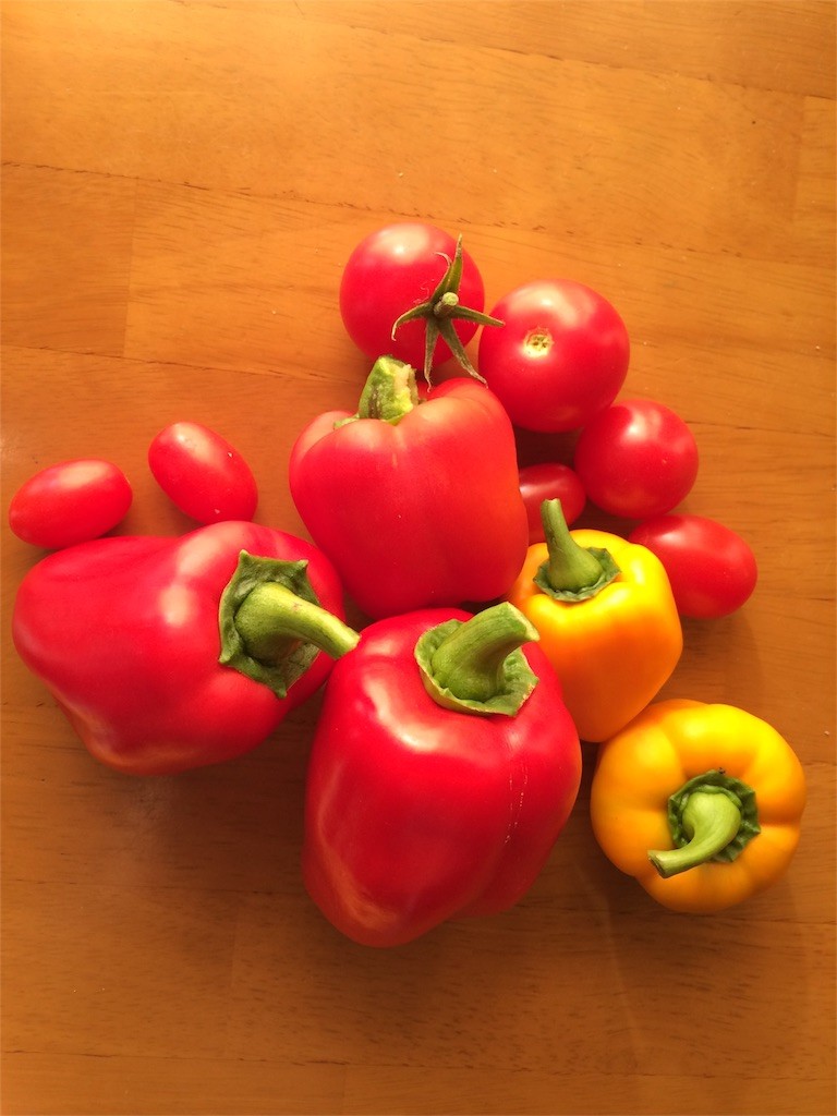 f:id:petitsaien:20151030213650j:image f:id:petitsaien:20151030213650j:image