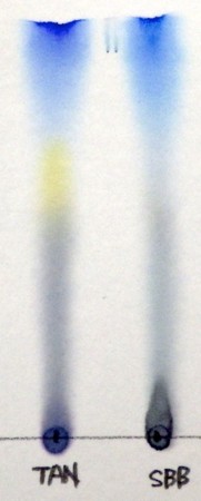 f:id:pgary:20130417210100j:image f:id:pgary:20130417210100j:image