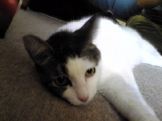 f:id:pha:20080928051521j:image f:id:pha:20080928051521j:image