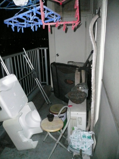 f:id:pha:20091124005102j:image