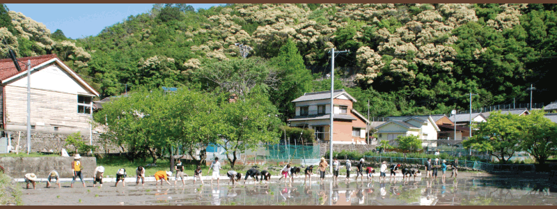 f:id:pha:20140331164951g:plain f:id:pha:20140331164951g:plain