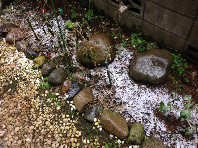 f:id:pha:20150205123341j:plain f:id:pha:20150205123341j:plain