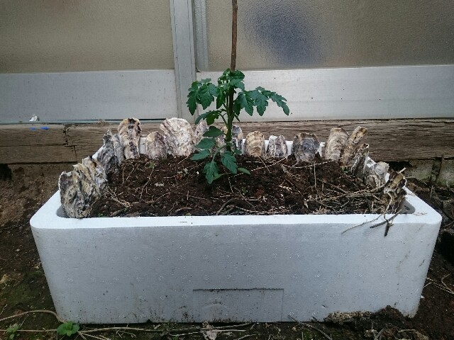 f:id:pha:20150424154252j:plain