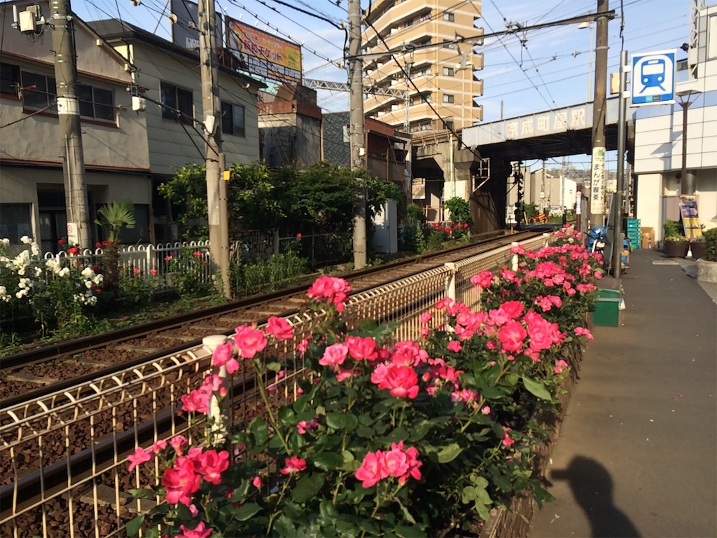 f:id:phantom_gon:20160525083203j:image f:id:phantom_gon:20160525083203j:image