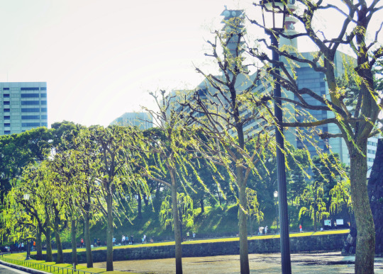 f:id:philo1985:20150714014849j:plain 日本国憲法