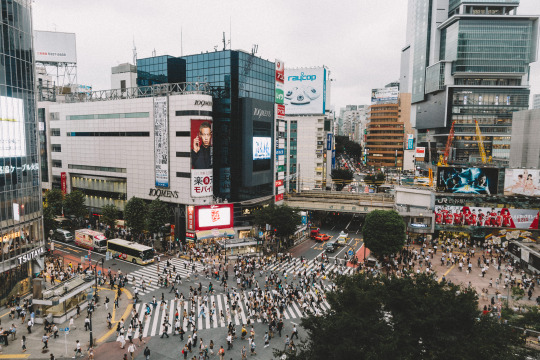 f:id:philo1985:20150917072620j:plain マルチチュード