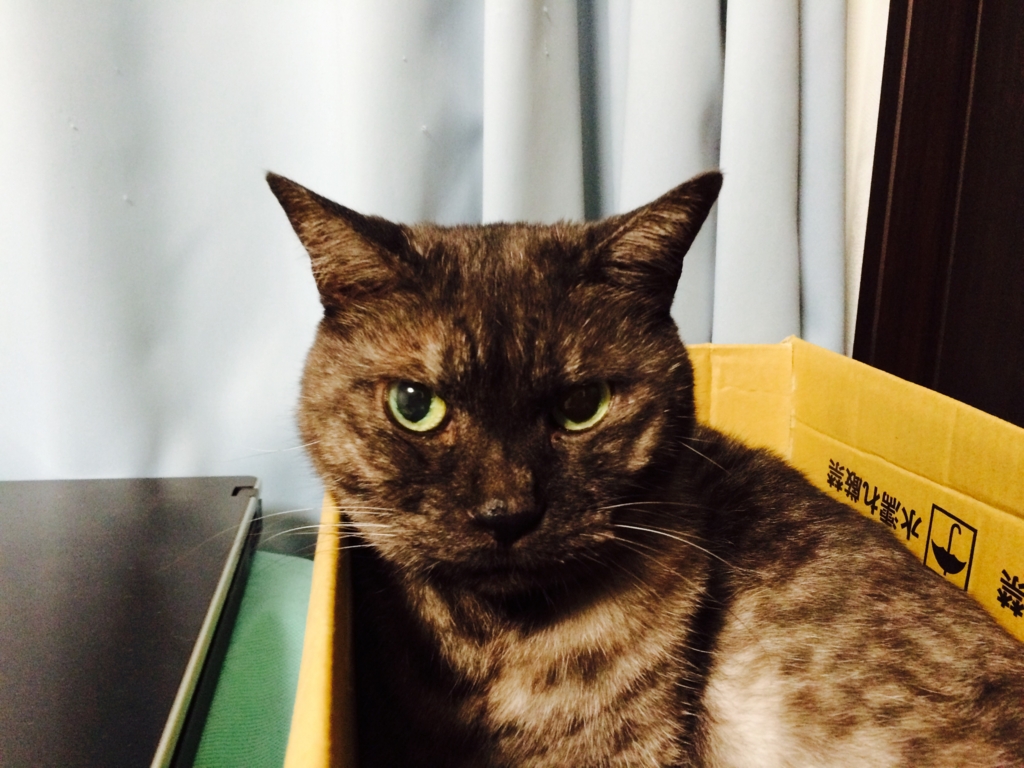 f:id:philo1985:20151007012540j:plain トマス・ホッブズ 宗教戦争
