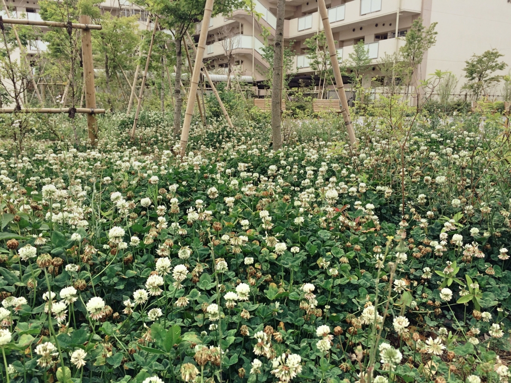 f:id:philo1985:20160522194715j:plain 神の愛 救い 死 聖書 信じるということ