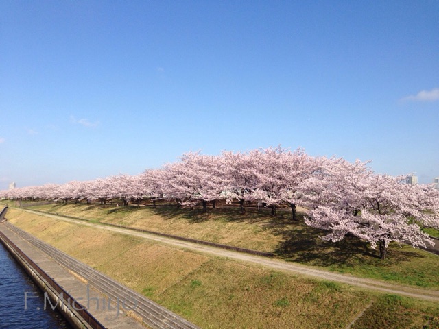 f:id:photo-fmichiyo:20150405013054j:plain f:id:photo-fmichiyo:20150405013054j:plain