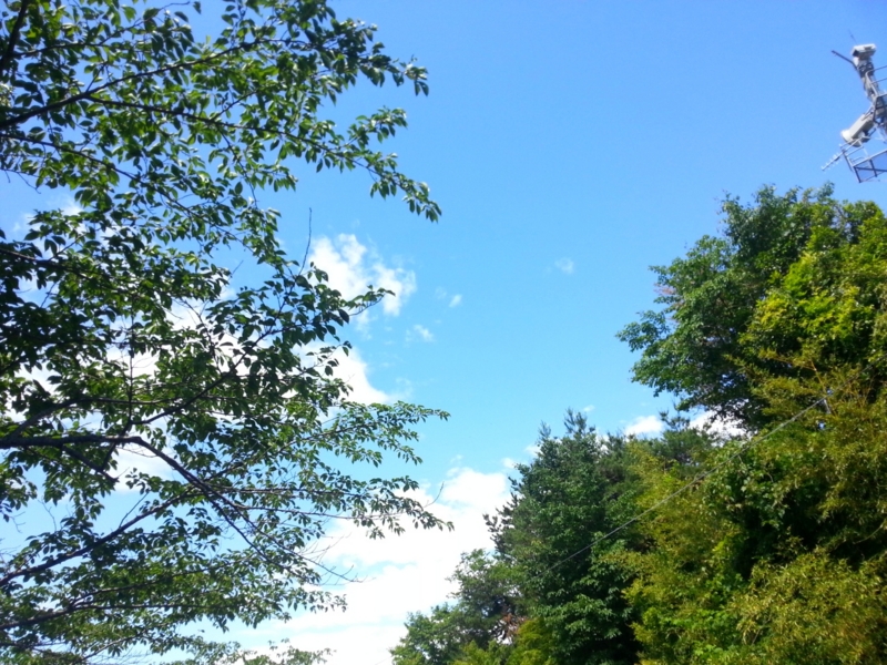 f:id:pika_shi:20140613094901j:plain