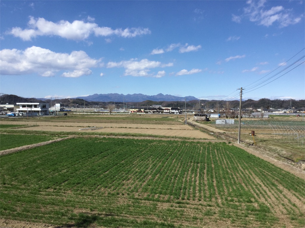 f:id:pikoameds:20160321140759j:image f:id:pikoameds:20160321140759j:image