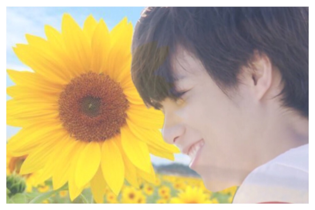 f:id:pineapple826:20150826040559j:image f:id:pineapple826:20150826040559j:image