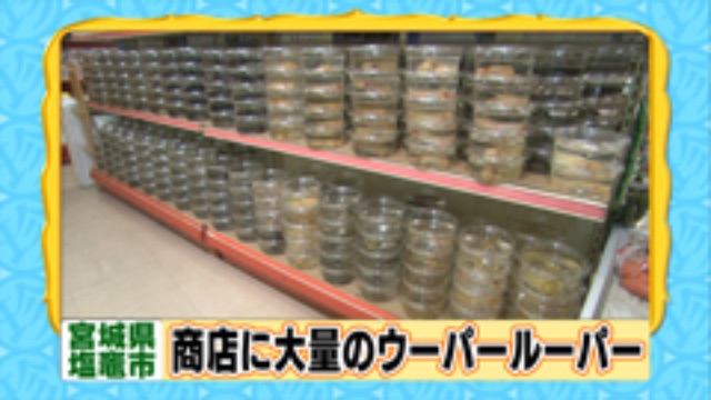 f:id:pini-kinoko:20150611224057j:image f:id:pini-kinoko:20150611224057j:image