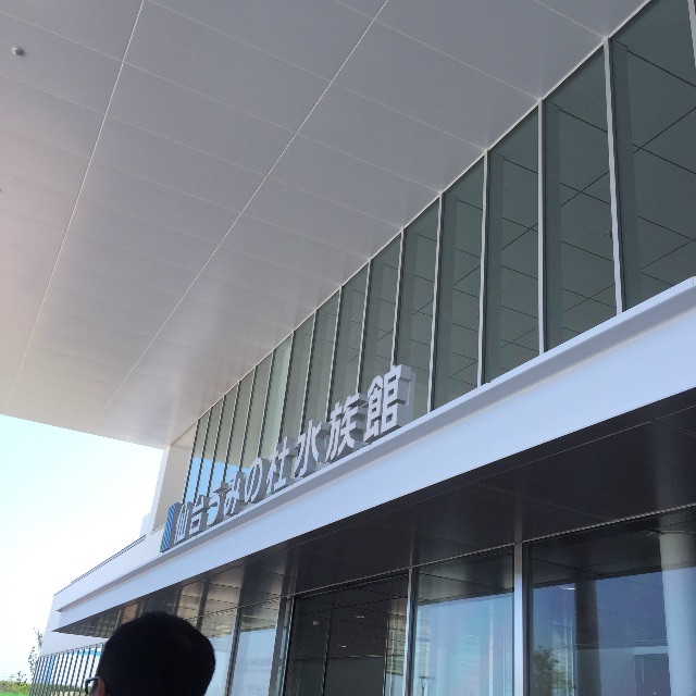 f:id:pini-kinoko:20150715160650j:image f:id:pini-kinoko:20150715160650j:image