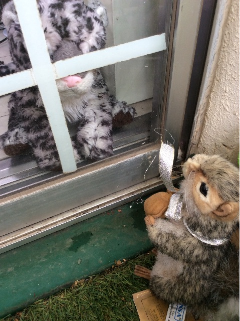 f:id:pinkdarknyan:20150530070001j:image f:id:pinkdarknyan:20150530070001j:image