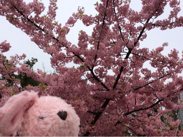 f:id:pinkstrawberryflavor:20150318193739j:plain f:id:pinkstrawberryflavor:20150318193739j:plain