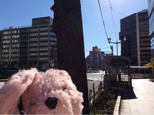 f:id:pinkstrawberryflavor:20150324181651j:plain f:id:pinkstrawberryflavor:20150324181651j:plain
