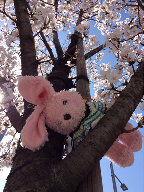 f:id:pinkstrawberryflavor:20150331195037j:plain f:id:pinkstrawberryflavor:20150331195037j:plain