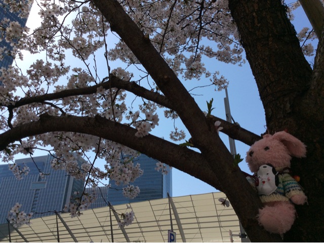 f:id:pinkstrawberryflavor:20150331195055j:plain f:id:pinkstrawberryflavor:20150331195055j:plain