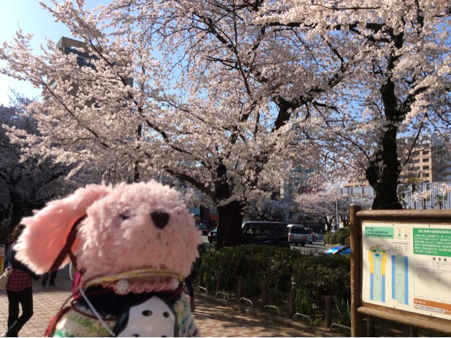 f:id:pinkstrawberryflavor:20150331195126j:plain f:id:pinkstrawberryflavor:20150331195126j:plain