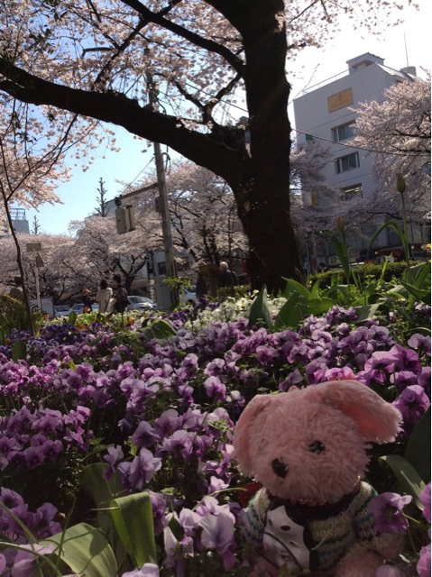 f:id:pinkstrawberryflavor:20150331195213j:plain f:id:pinkstrawberryflavor:20150331195213j:plain
