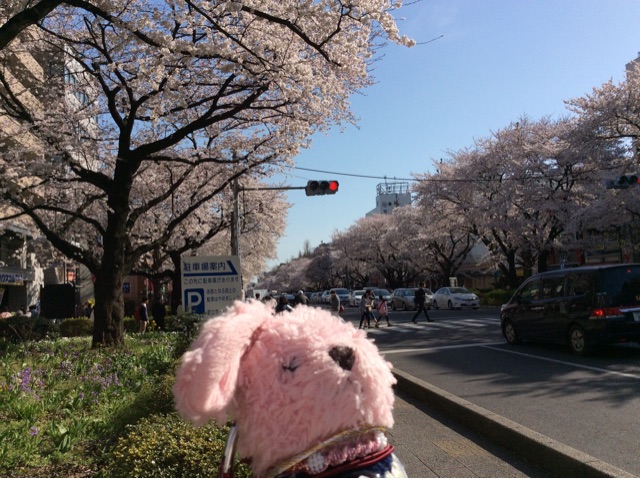 f:id:pinkstrawberryflavor:20150331195232j:plain f:id:pinkstrawberryflavor:20150331195232j:plain