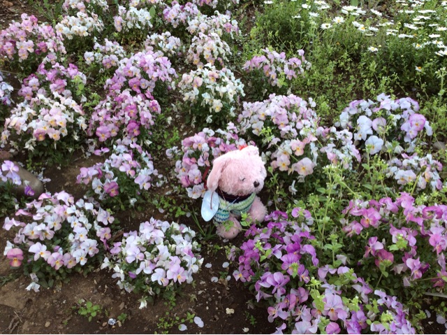 f:id:pinkstrawberryflavor:20150331195357j:plain f:id:pinkstrawberryflavor:20150331195357j:plain