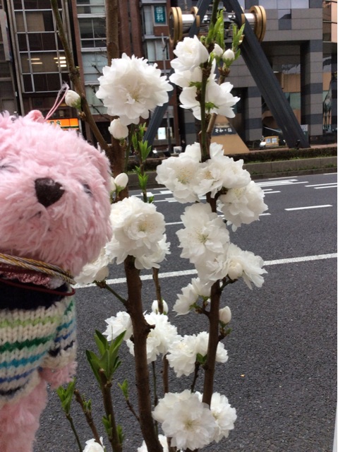 f:id:pinkstrawberryflavor:20150401163013j:plain f:id:pinkstrawberryflavor:20150401163013j:plain