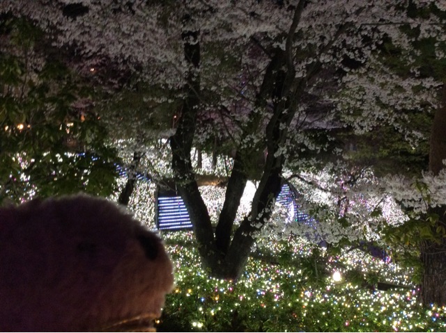 f:id:pinkstrawberryflavor:20150408213639j:plain f:id:pinkstrawberryflavor:20150408213639j:plain