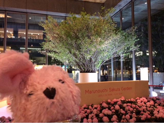 f:id:pinkstrawberryflavor:20150413111308j:plain f:id:pinkstrawberryflavor:20150413111308j:plain