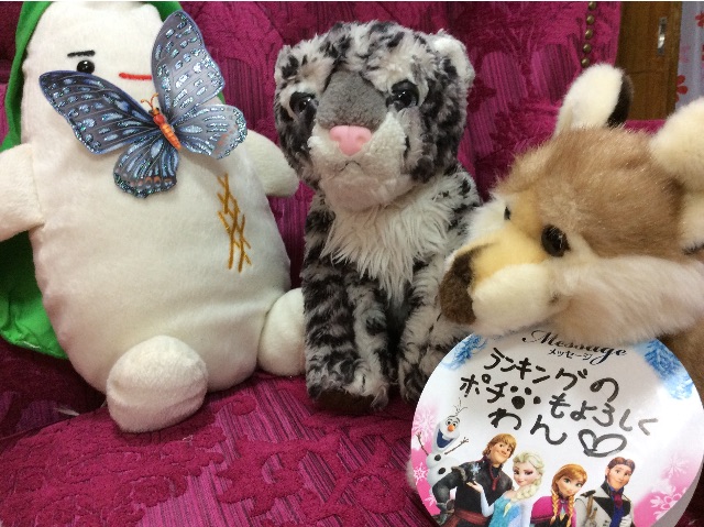 f:id:pinkstrawberryflavor:20150515144553j:image f:id:pinkstrawberryflavor:20150515144553j:image