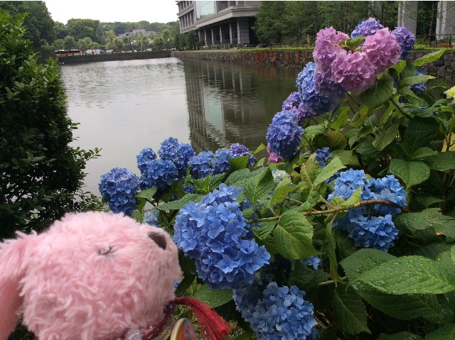 f:id:pinkstrawberryflavor:20150605133321j:image f:id:pinkstrawberryflavor:20150605133321j:image